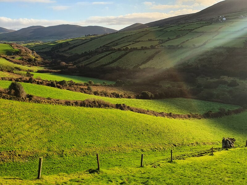 "How Green  was my Valley" - Save our hedgerows & copses