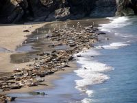 Great Blasket island and the Blaskets