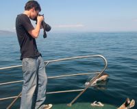 Research survey of Whales Dolphins Porpoises Basking  Shark