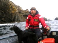 Humpback Whales and Basking Shark arrive early to Dingle Bay